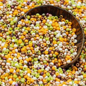 8/0 Miyuki seed beads in yellow, gold, and warm autumn tones