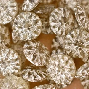 14mm Czech dahlia flower beads in champagne mercury dahlia finish